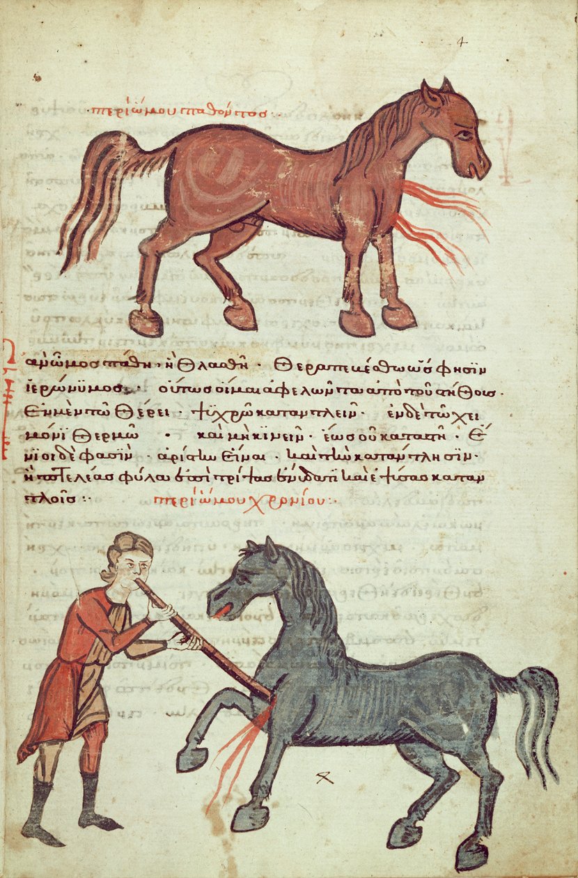 Ms Grec 2244 fol.4 Opererer en hest av Greek School