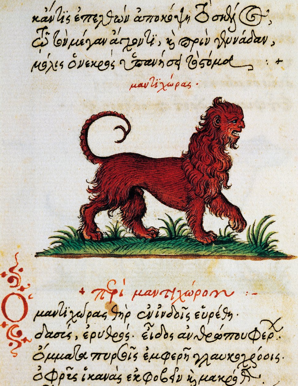 Avhandling om Gryphon, test og miniatyr fra Aelianus (2.-3. århundre e.Kr.) av Greek School