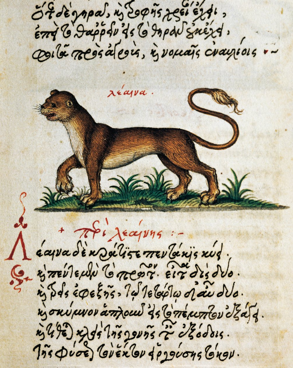 Avhandling om løve, test og miniatyr fra Aelianus (2.-3. århundre e.Kr.) av Greek School