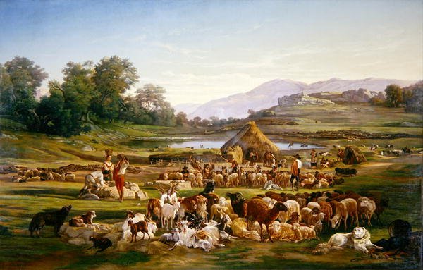 Hyrder med sauer av Gregoire Isidore Flacheron