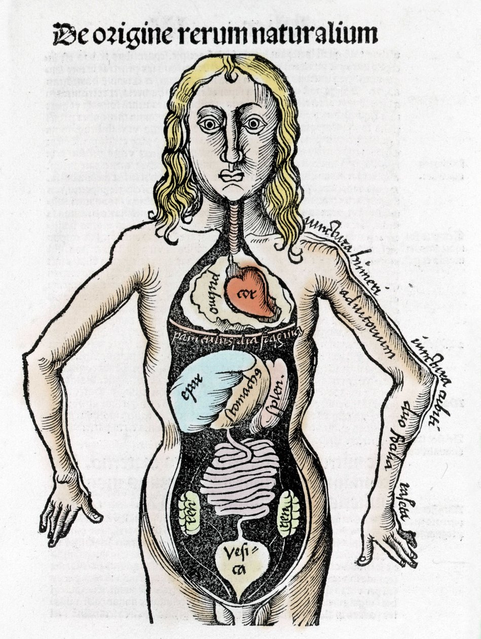 Gregor Reisch (1467-1525), Bale 1517 - Margaret av Philosophica (1467-1525), Bale av Gregor Reisch