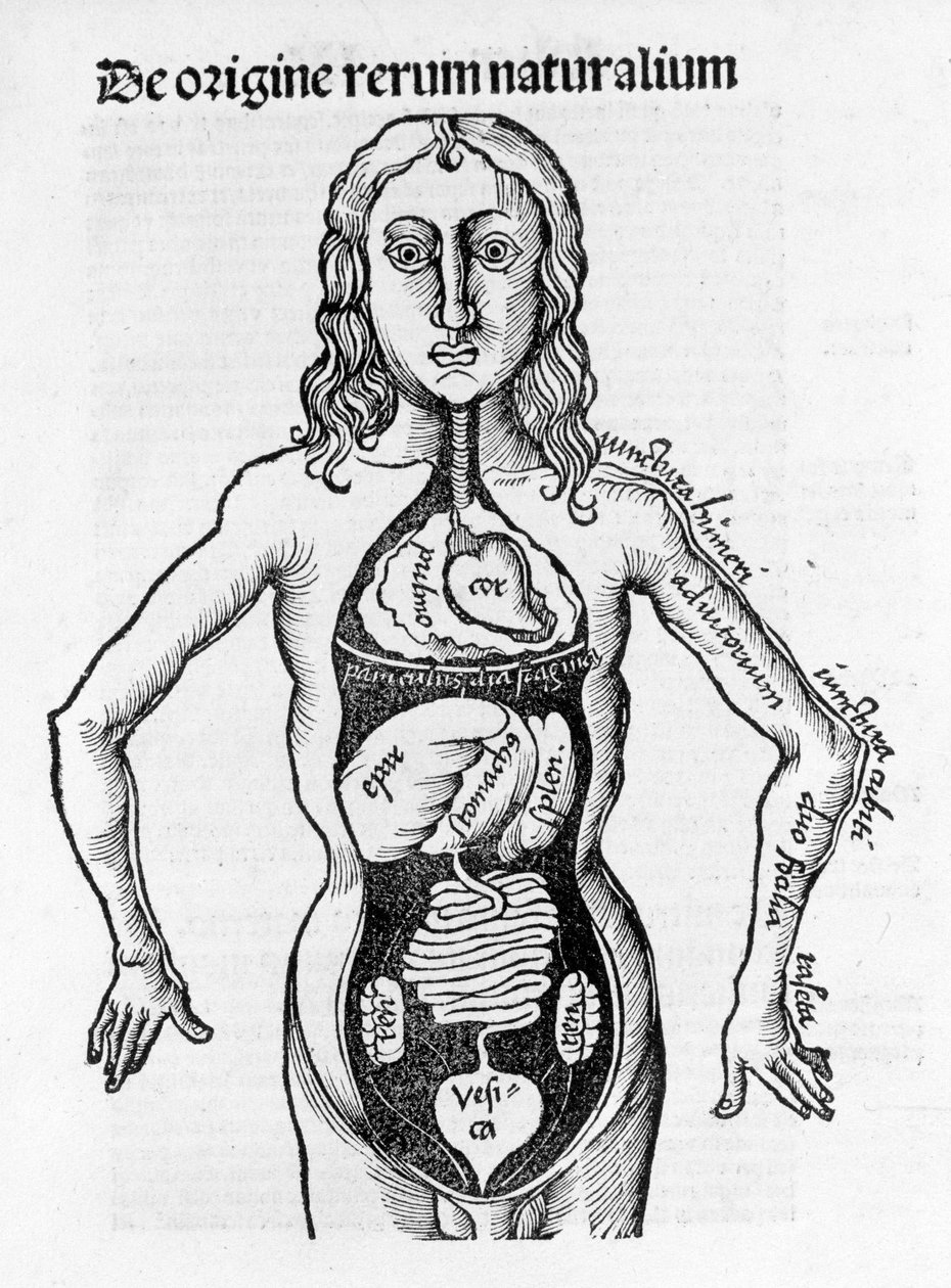 Gregor Reisch (1467-1525), Bale 1517 - Margaret av Philosophica (1467-1525), Bale av Gregor Reisch