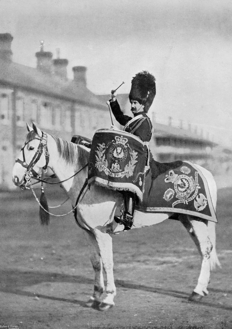 Plum Duff, trommehesten til Royal Scots Greys, 1896 av Gregory and Co