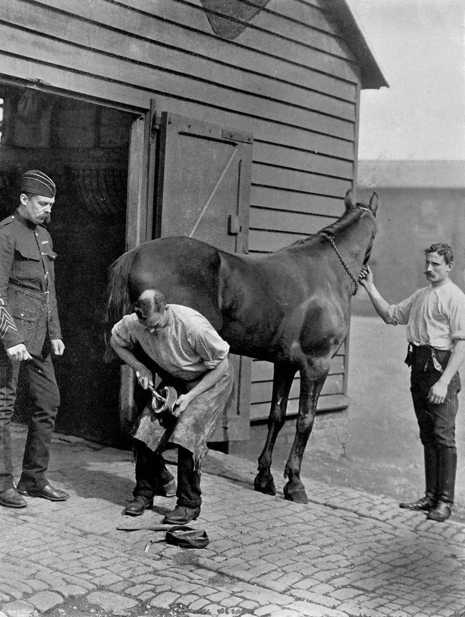 Hovslager-majoren for Royal Horse Guard, 1896. av Gregory and Co