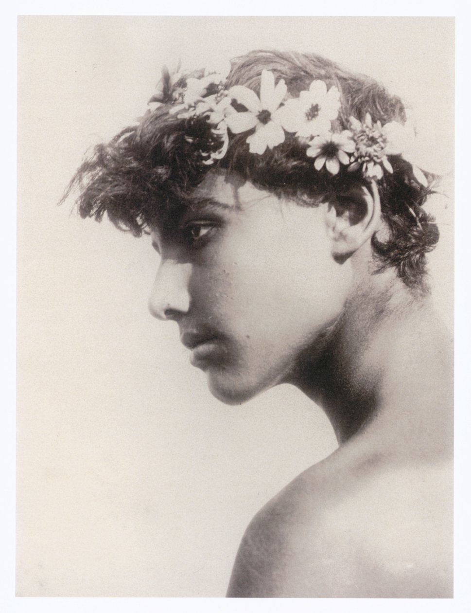  av Guglielmo (1852 1930) Plüschow
