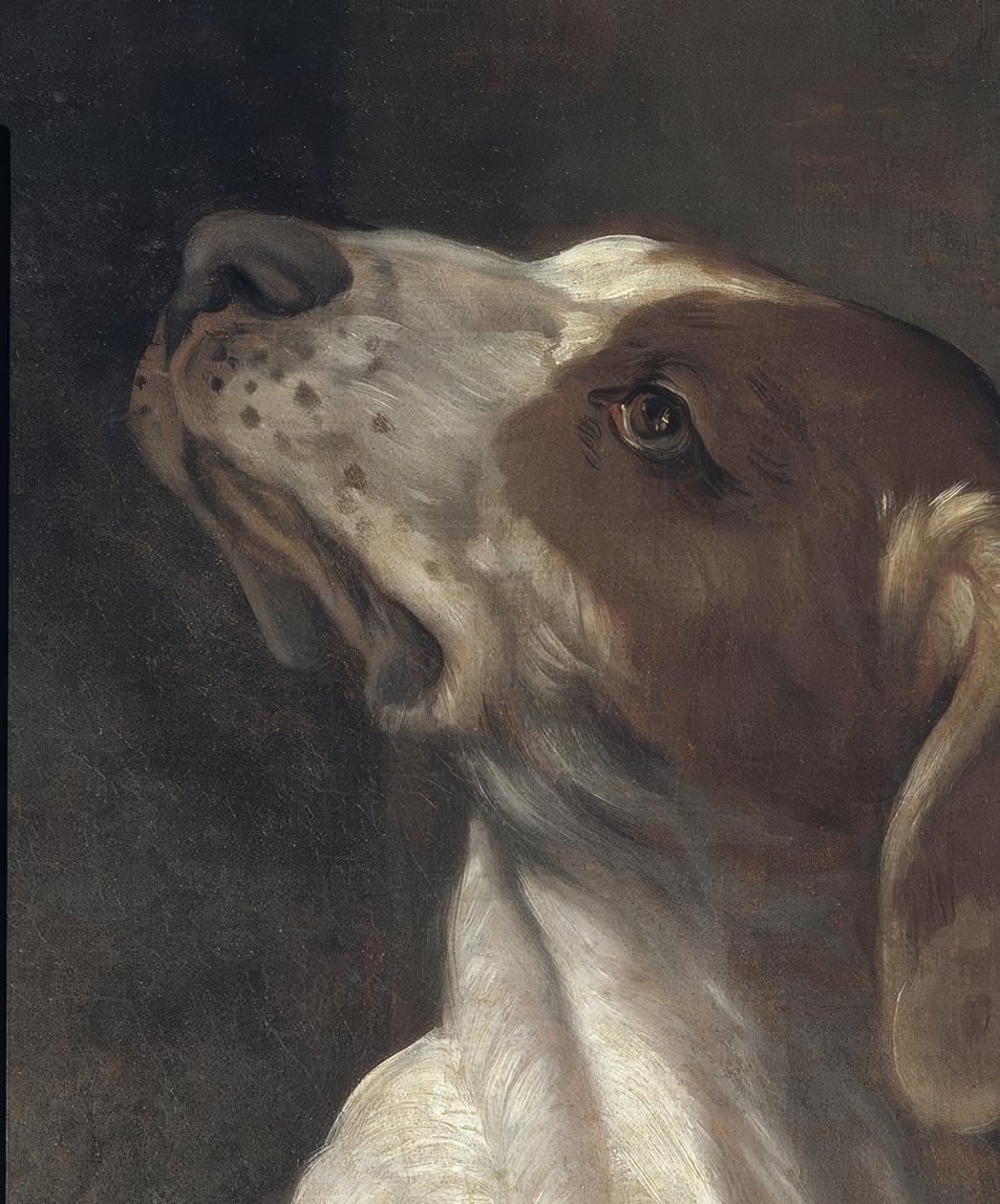 Saint Roch i fengsel, trøstet av en engel av Guido Reni