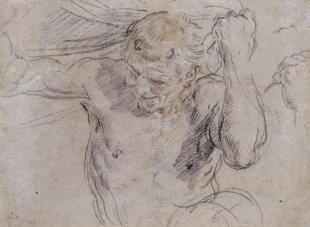 Et Satyrløftende draperi, og en understudie av hans venstre hånd av Guido Reni