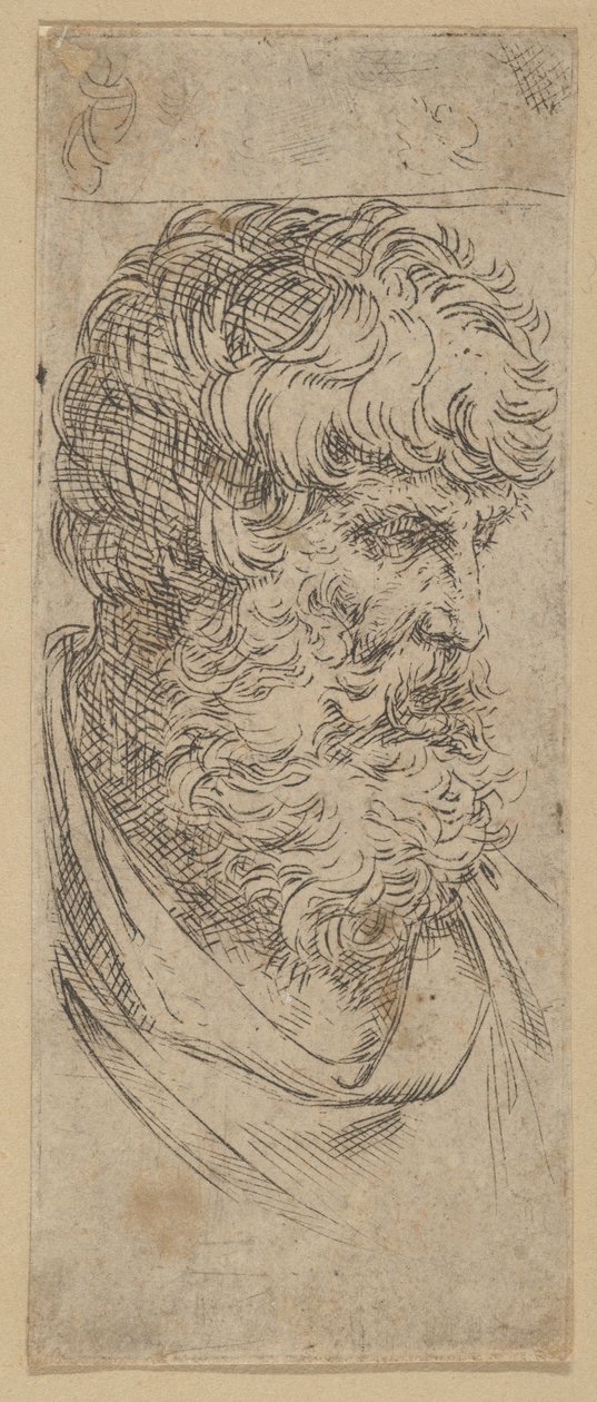 Byste av en skjeggete mann, ca. 1600-1640. av Guido Reni
