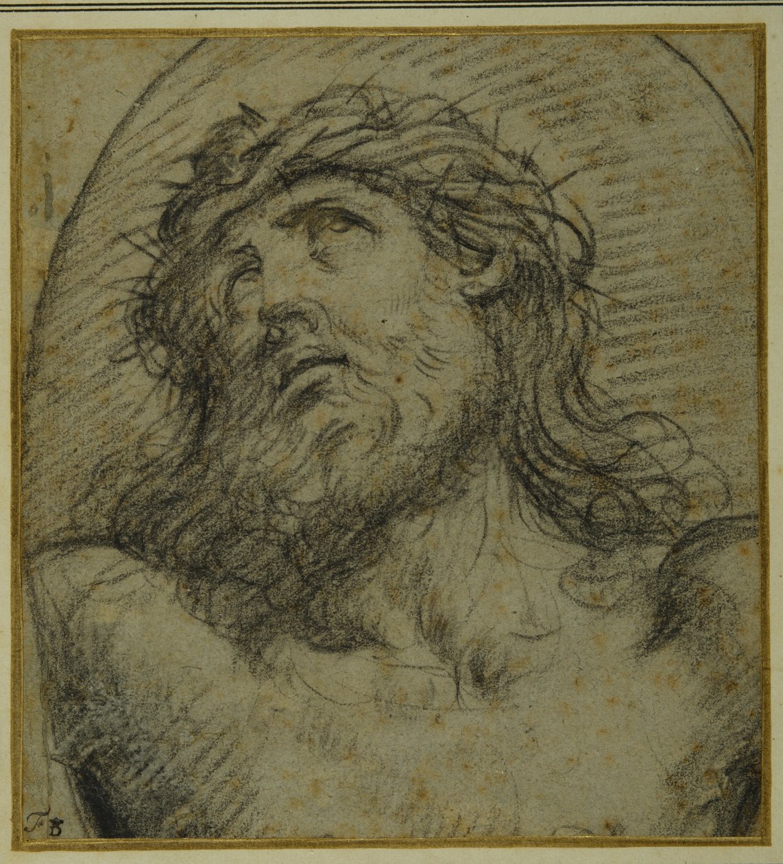 Hode og skuldre til den levende Kristus korsfestet (svart kritt på carta azzurra) av Guido Reni