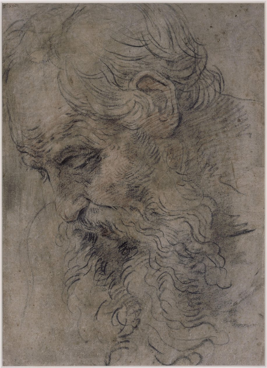 Hodet av den hellige Paulus Eremitten av Guido Reni