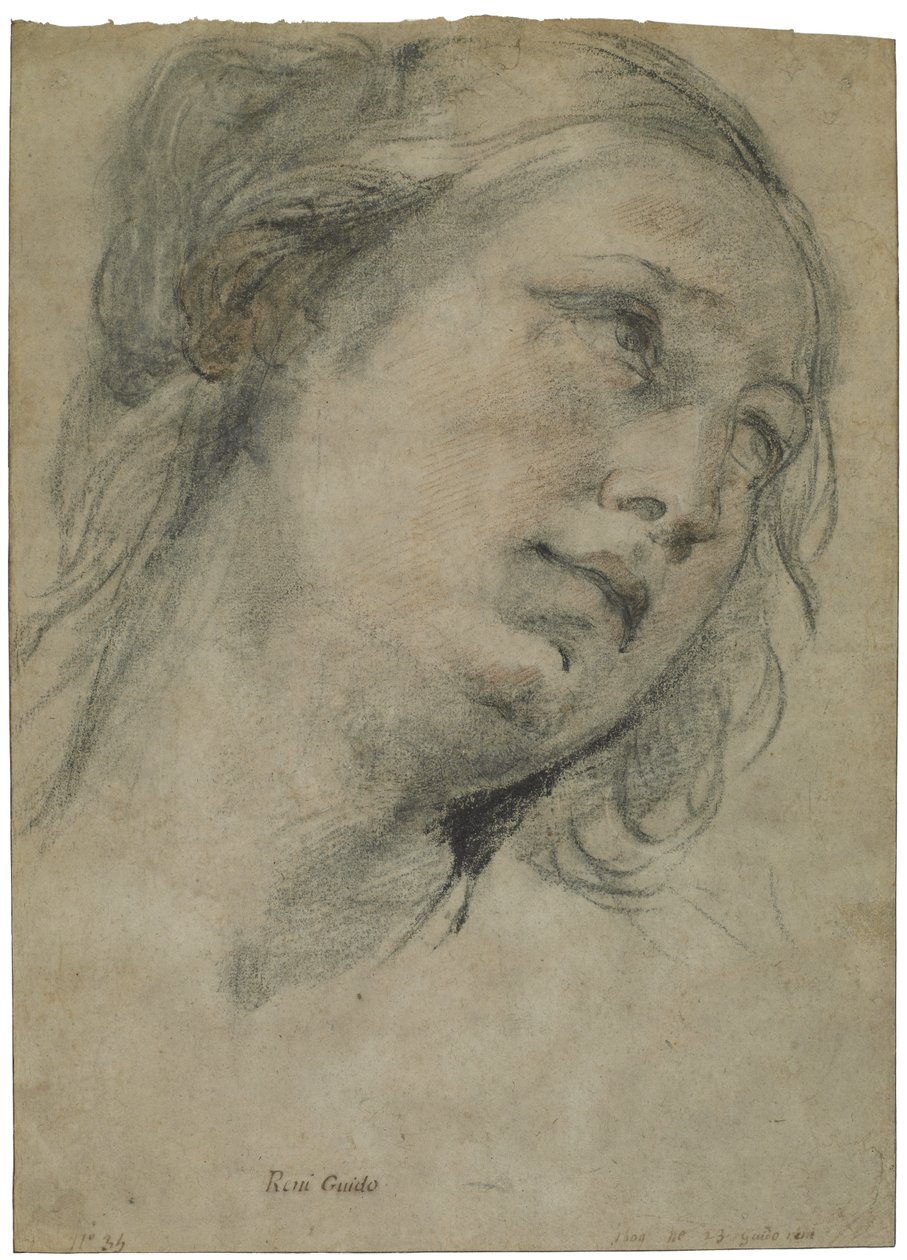 The Head of a Young Woman Looking Upward, ca. 1609 (svart og rødt kritt med innslag av hvitt kritt på brunt papir) av Guido Reni