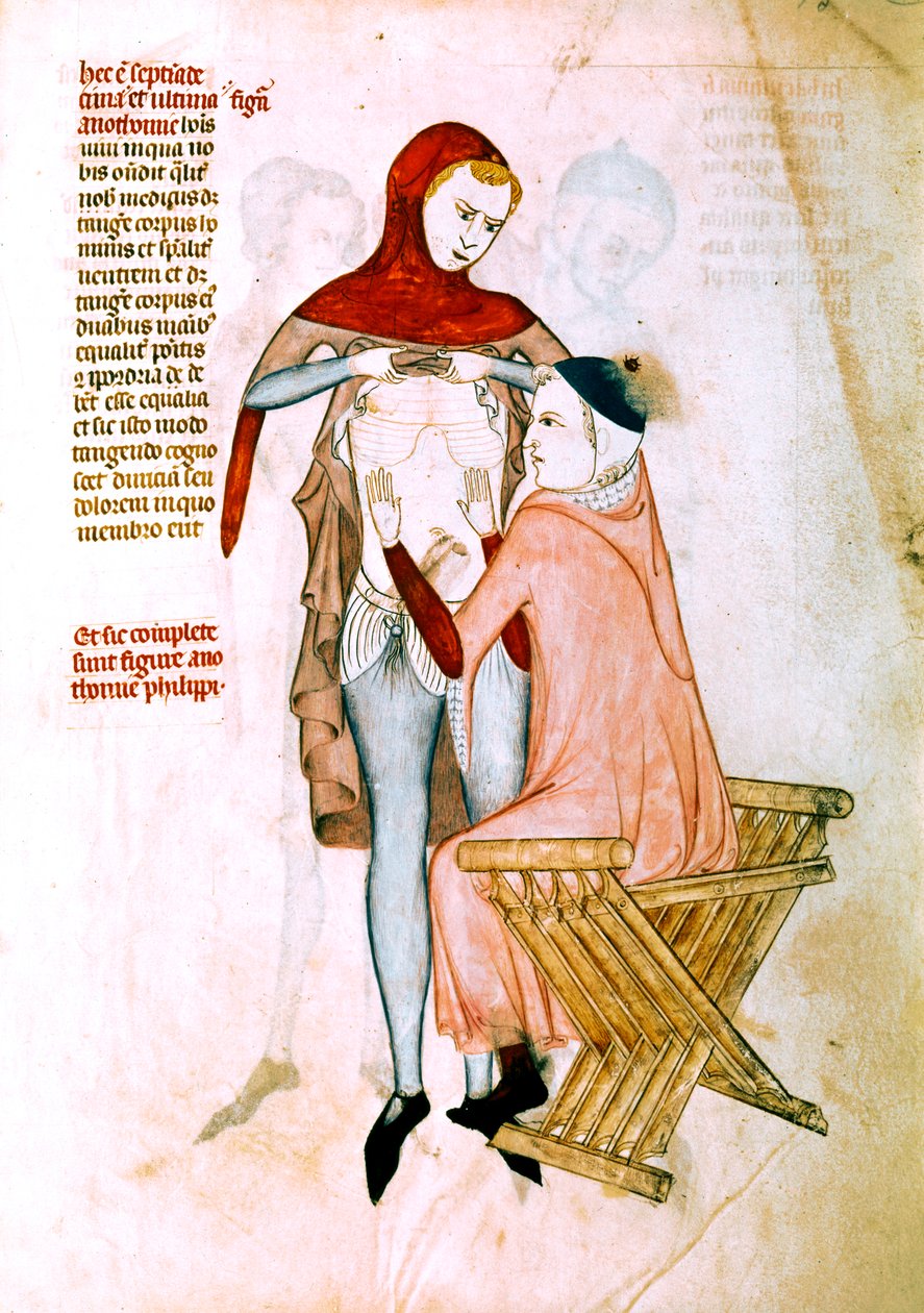  av Guido da Vigevano da Pavia