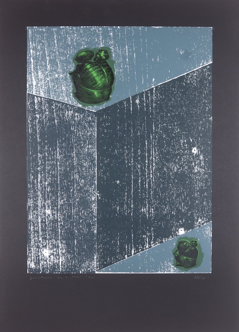 Invisible Room nº8, The Dream Of My Soul, 2019 (tresnitt og silketrykk) av Guilherme Pontes