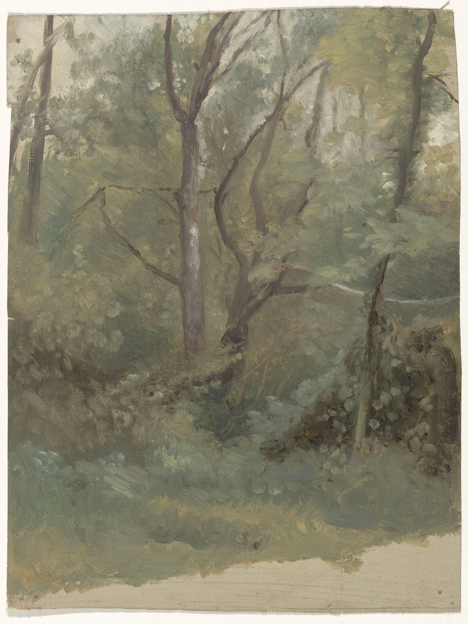 skogutsikt av Guillaume Anne van der Brugghen