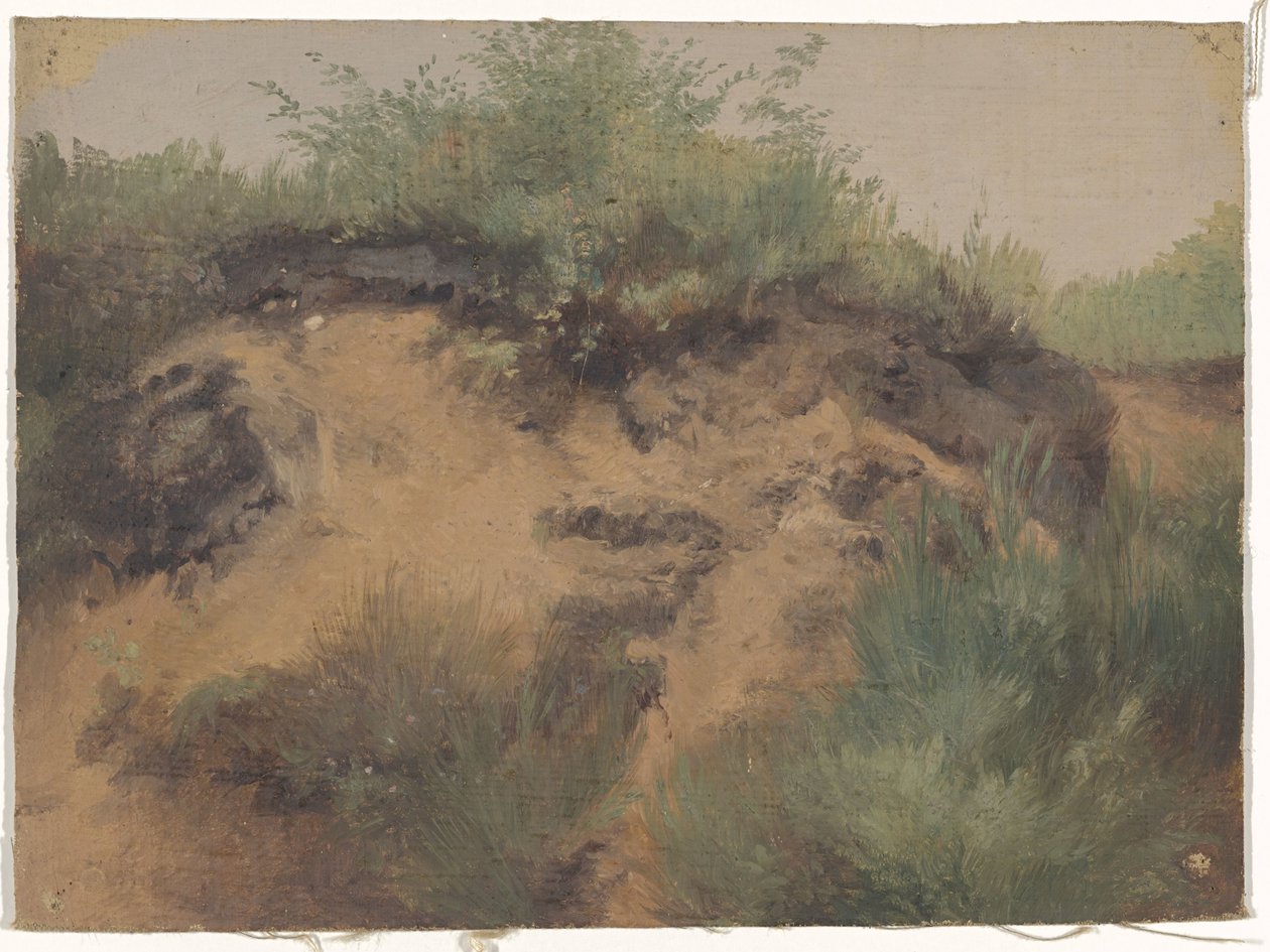 DUI Nirvana av Guillaume Anne van der Brugghen