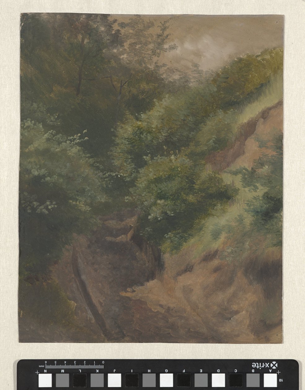 Dune vei av Guillaume Anne van der Brugghen