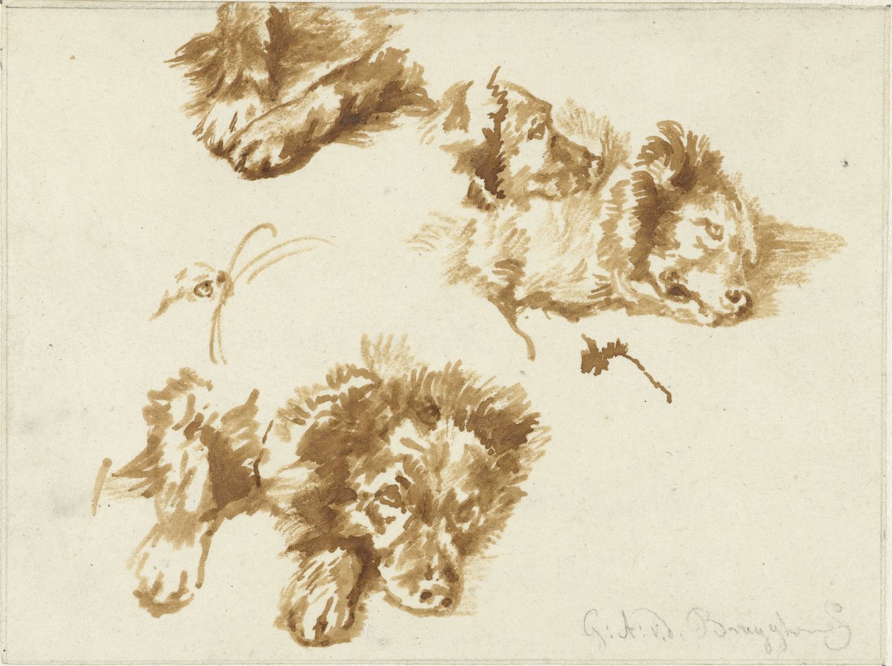 Studier av en hund av Guillaume Anne van der Brugghen