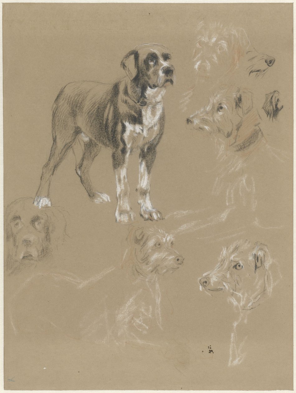 Studier av en hund av Guillaume Anne van der Brugghen