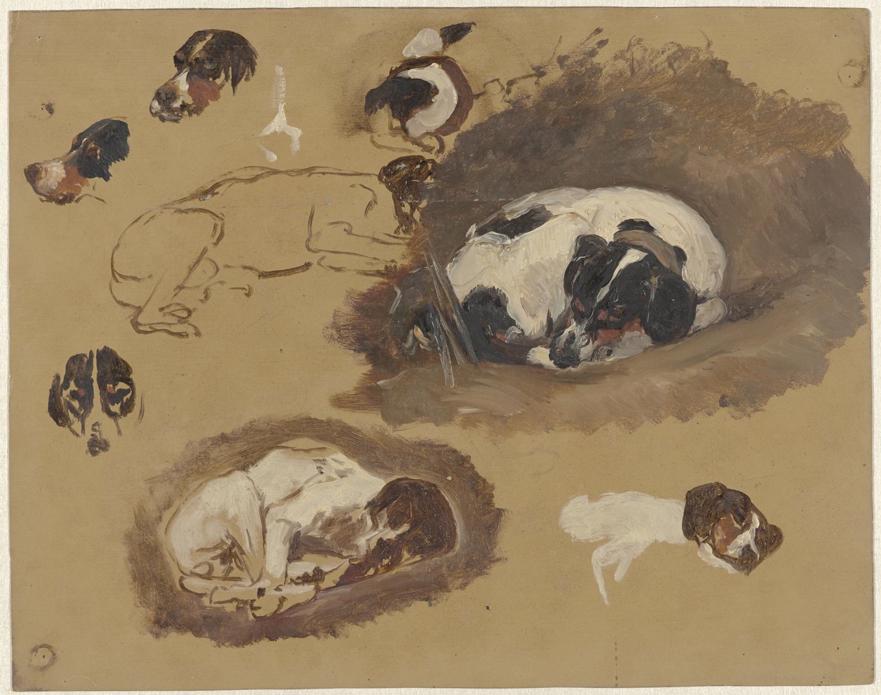 Studier av en jakthund av Guillaume Anne van der Brugghen
