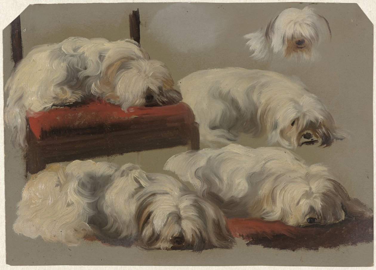 Studier av en hvit fanghund av Guillaume Anne van der Brugghen