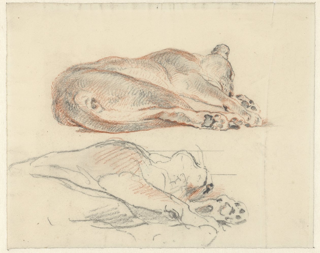 To studier av en liggende tiger av Guillaume Anne van der Brugghen