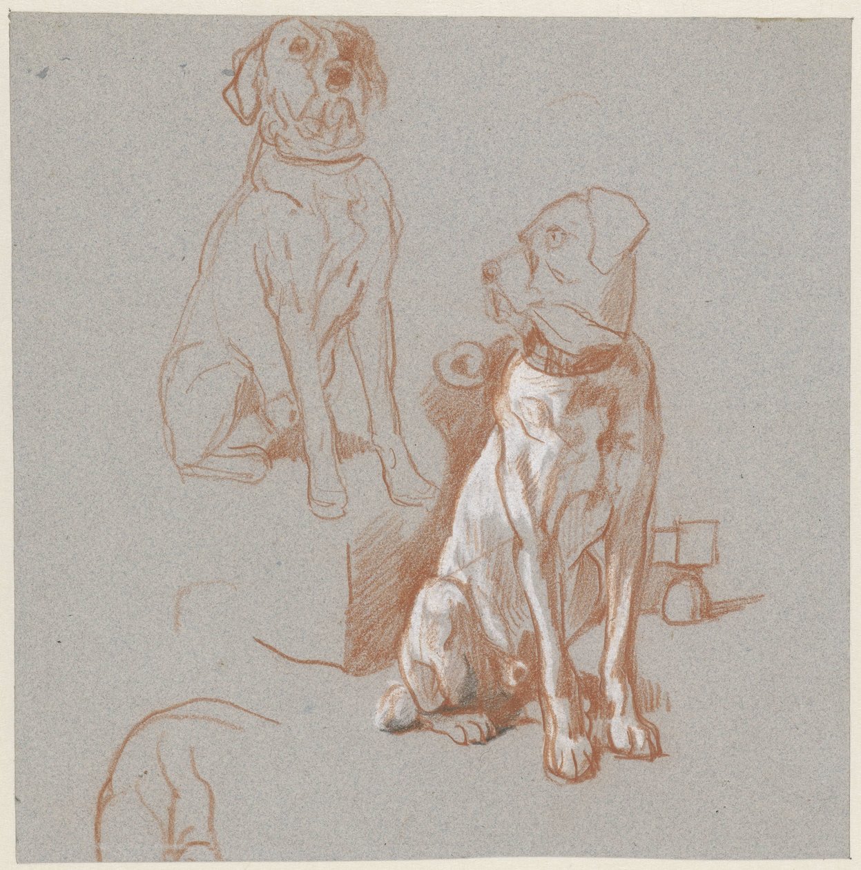 To studier av en sittende hund av Guillaume Anne van der Brugghen