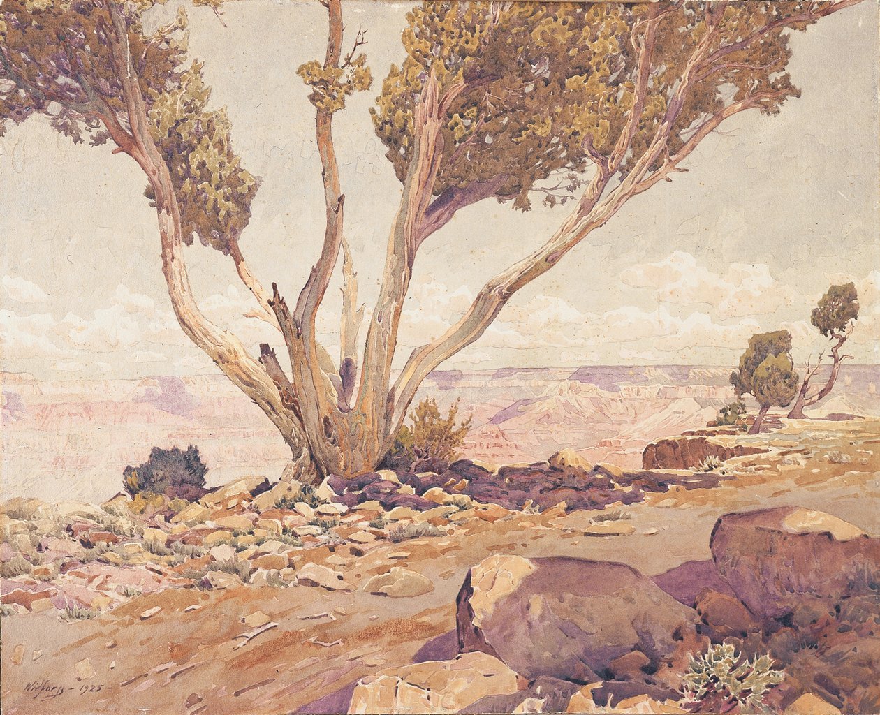 Grand Canyon av Gunnar Widforss