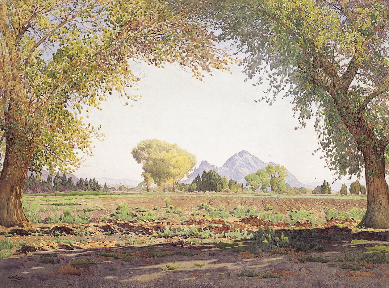 Salt River Valley (w/c & gouache på papir) av Gunnar Widforss