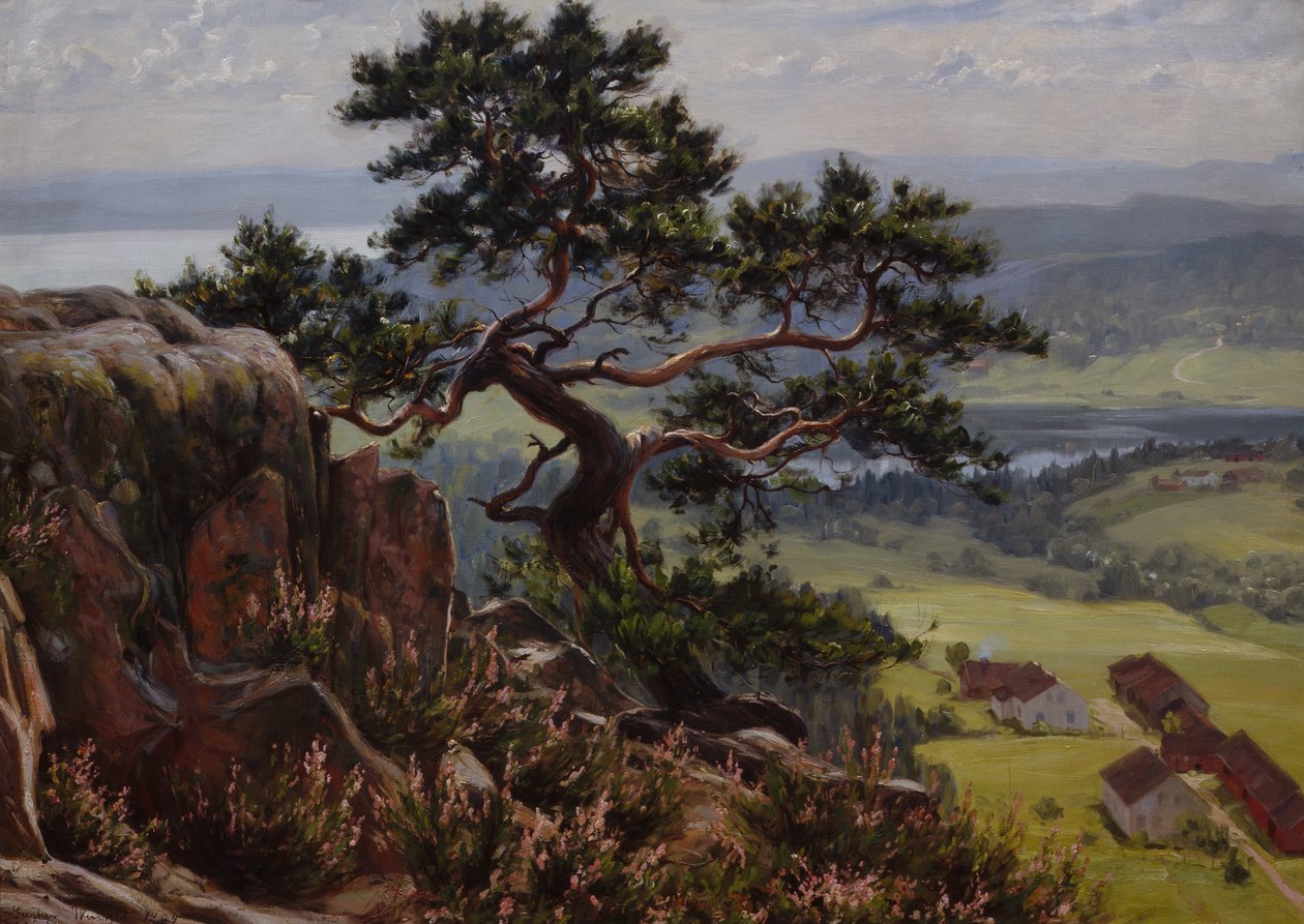 View over Vardåsen av Gustav Wentzel