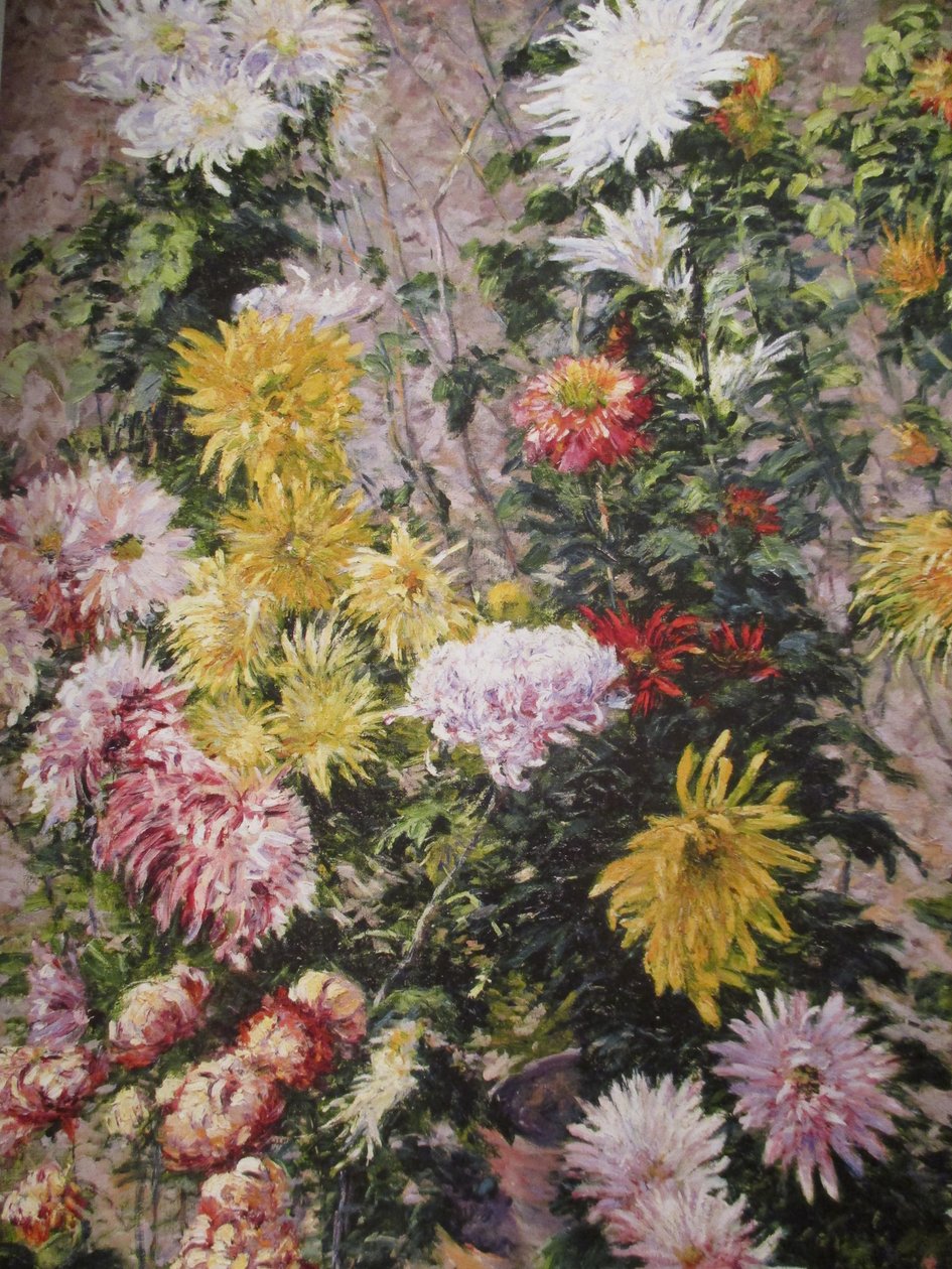 Hvite og gule krysantemum av Gustave Caillebotte