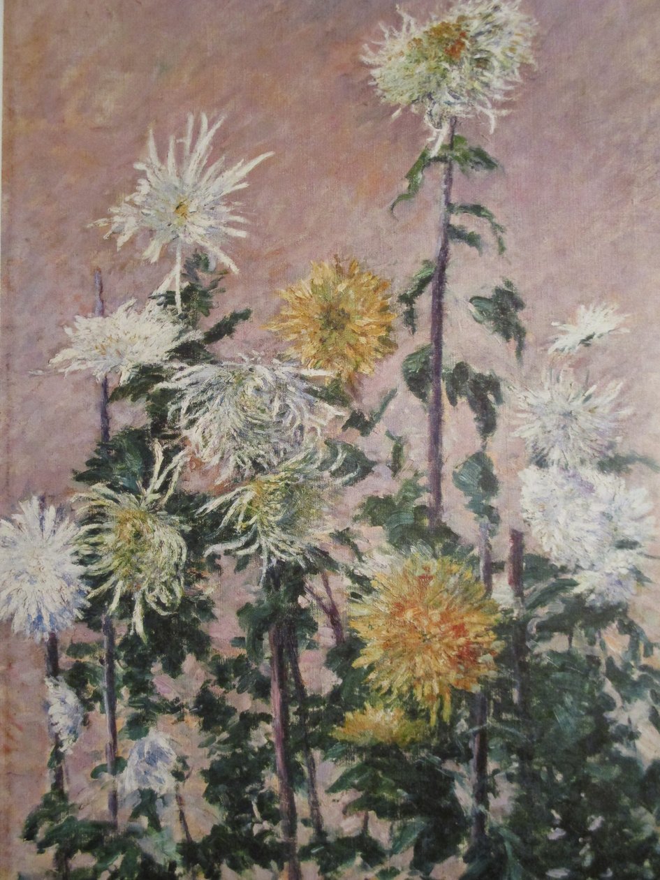 Hvite og gule krysantemum av Gustave Caillebotte