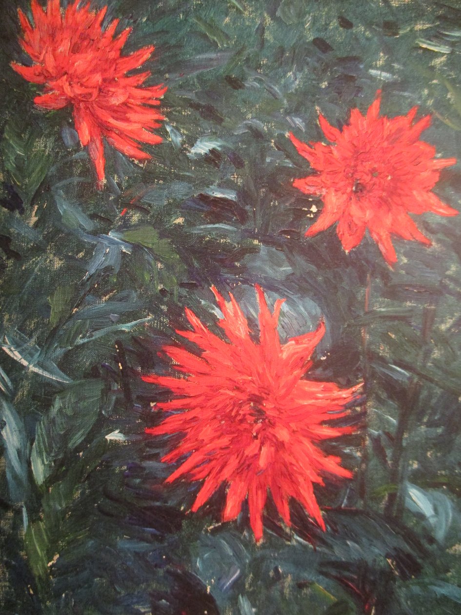 Rød kaktus georginer (1892) av Gustave Caillebotte