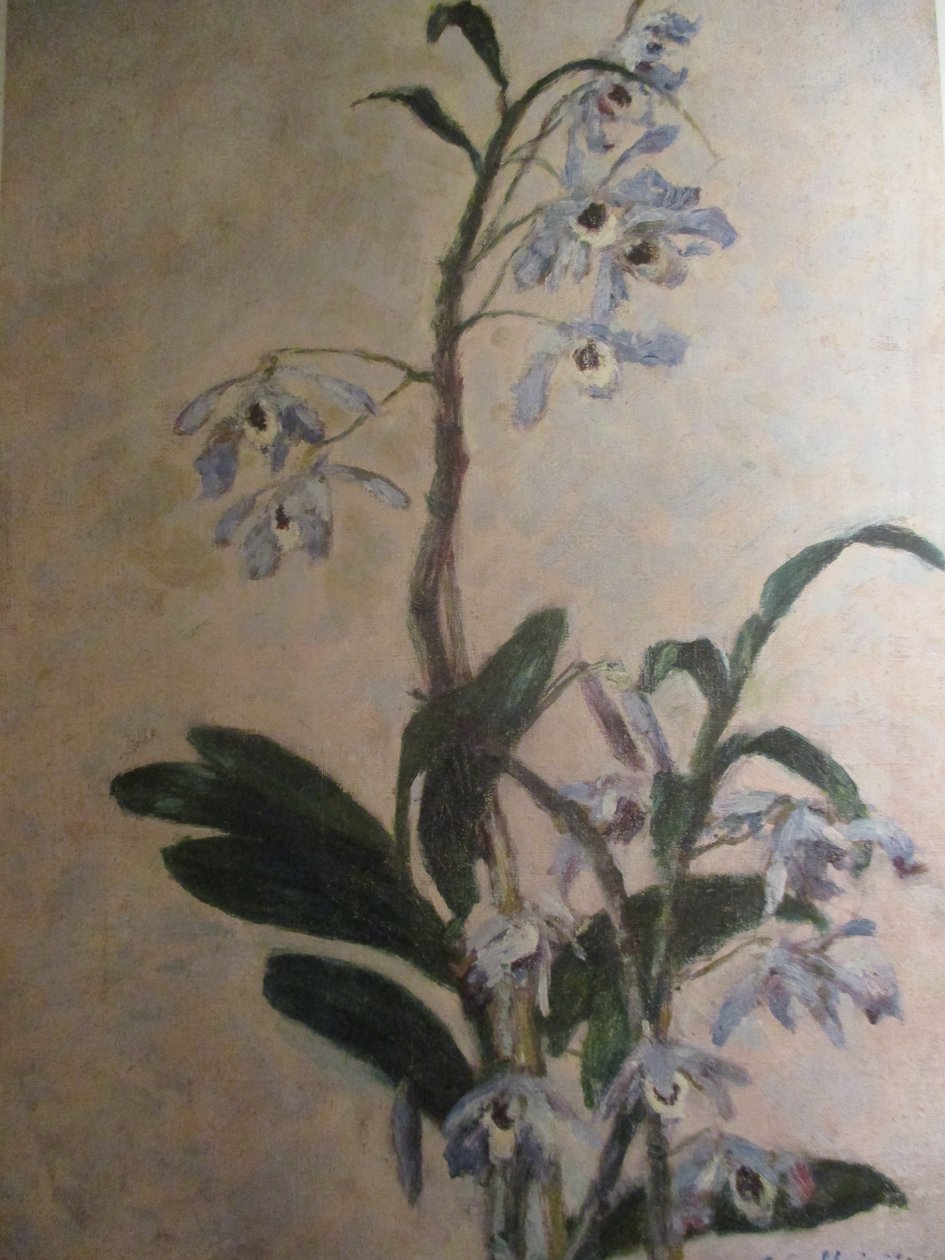 Orkideer av Gustave Caillebotte