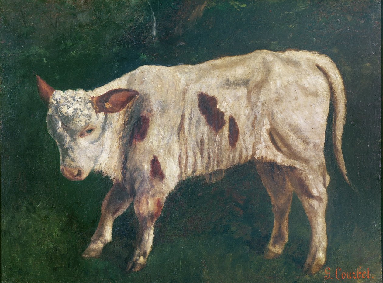 En kalv av Gustave Courbet