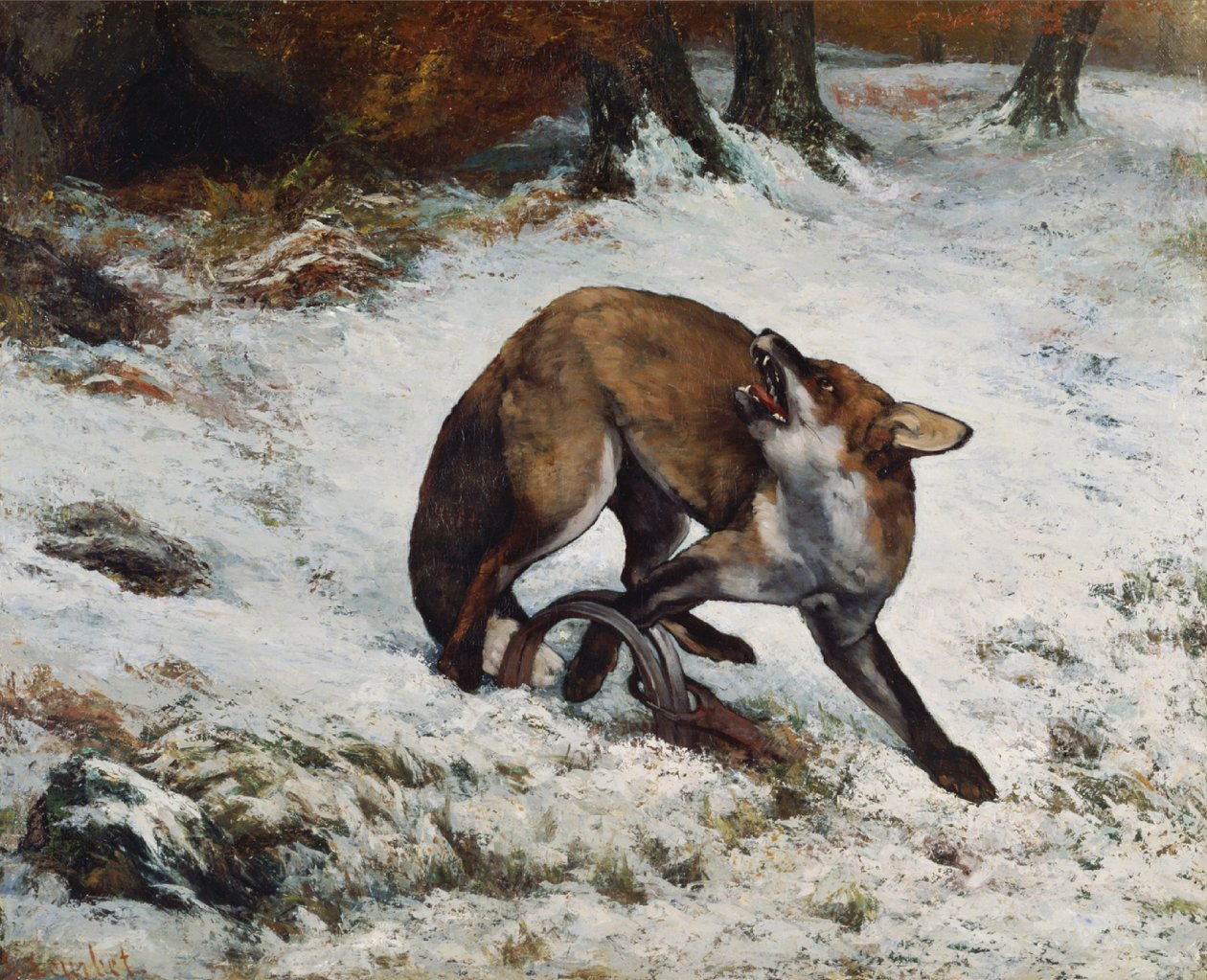 Fox fanget i en felle av Gustave Courbet