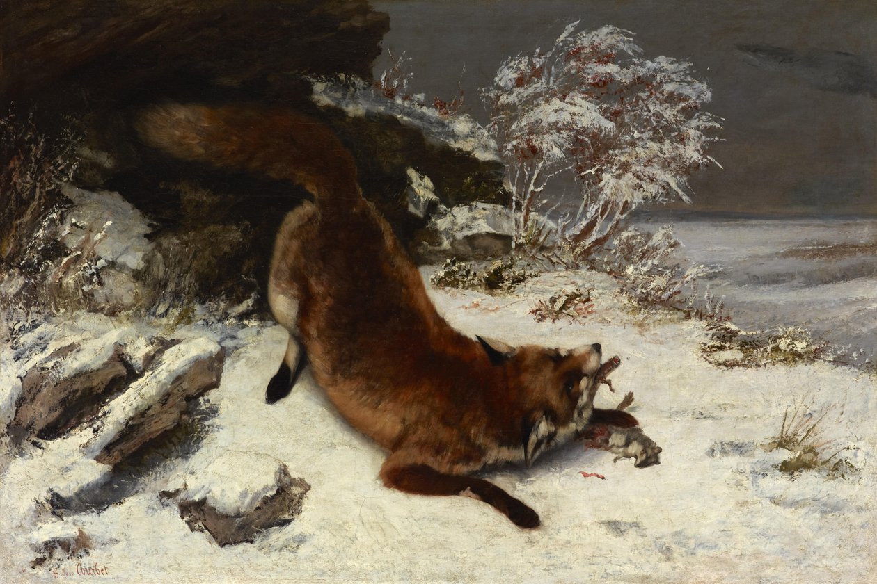 Rev i snøen av Gustave Courbet