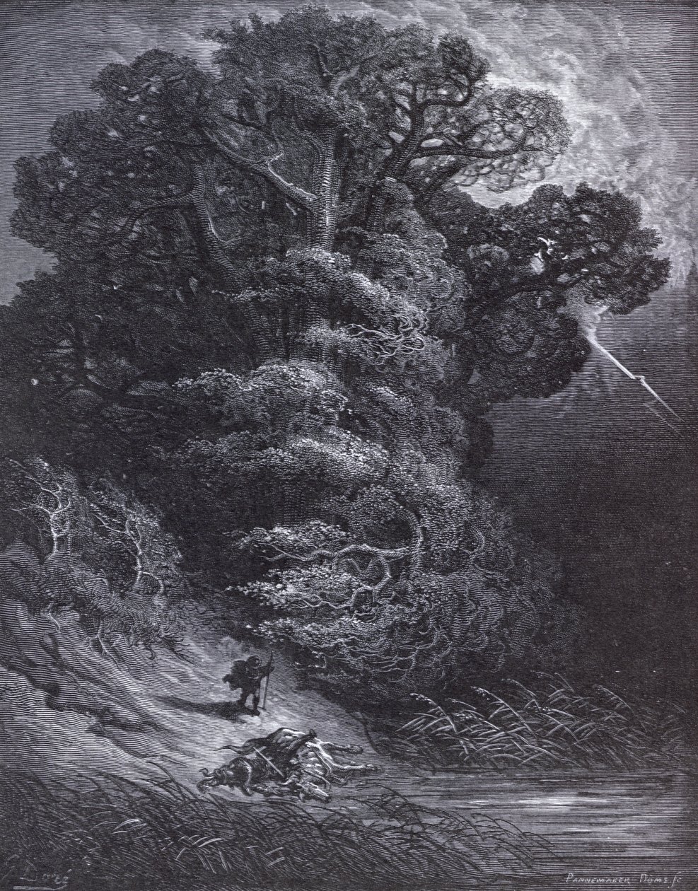 Illustrasjon for The Oak and the Reed, fra 