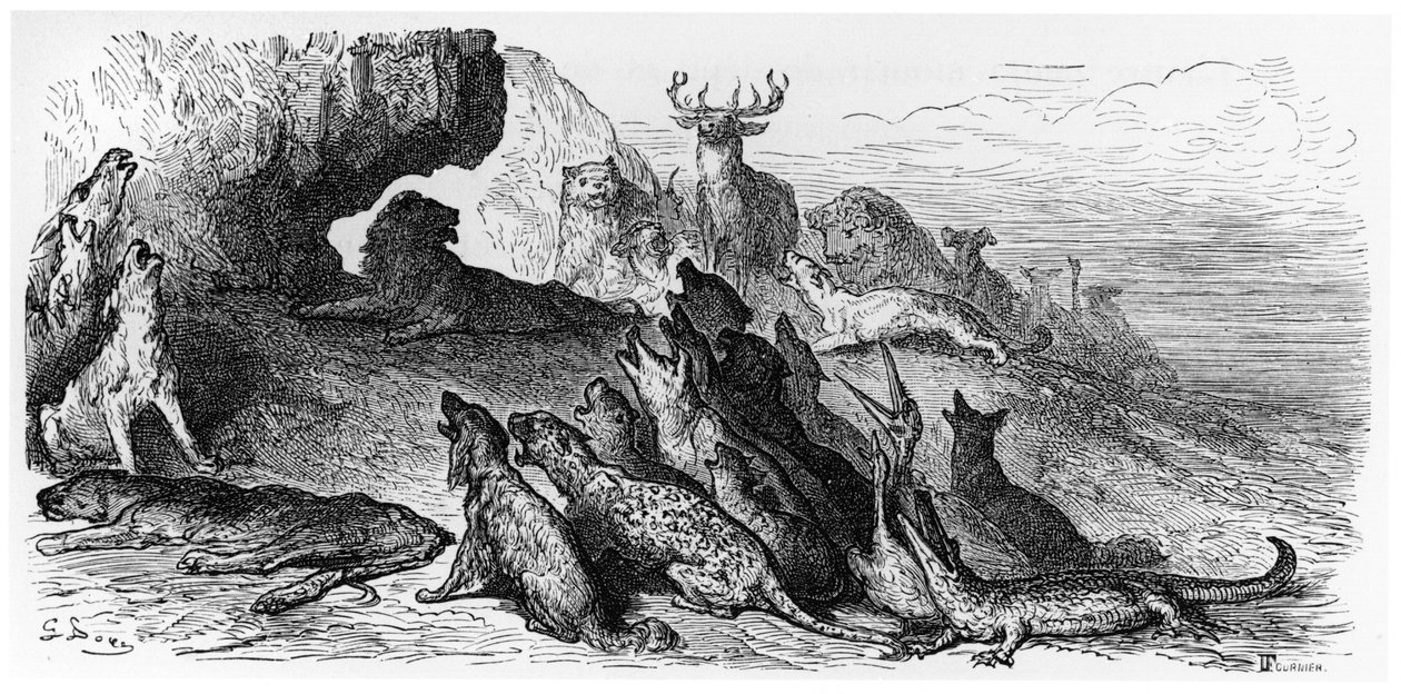 The Funeral of the Lioness, illustrasjon fra 