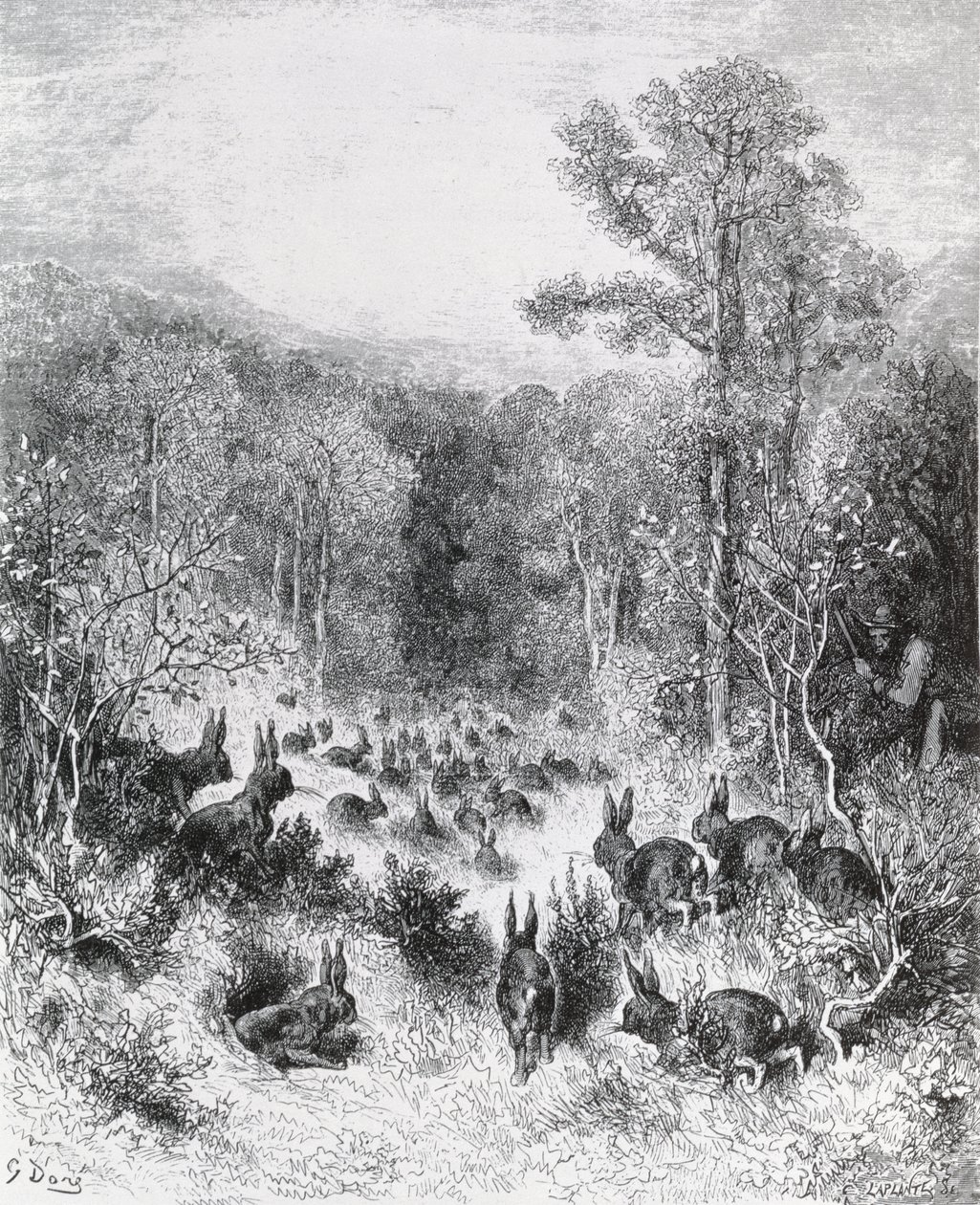 The Rabbits, illustrasjon fra 