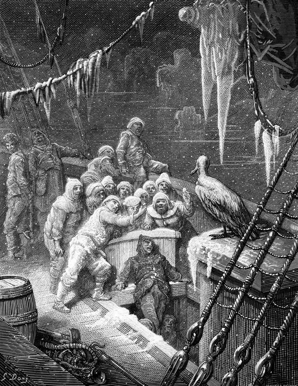 Albatrossen blir matet av sjømennene på skipet havnet i det frosne havet i Antarktis, scene fra 