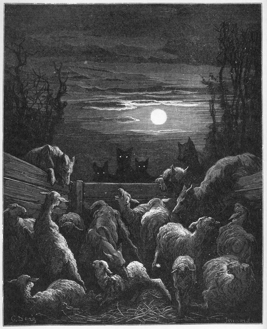 Wolves and Ebis - fra 
