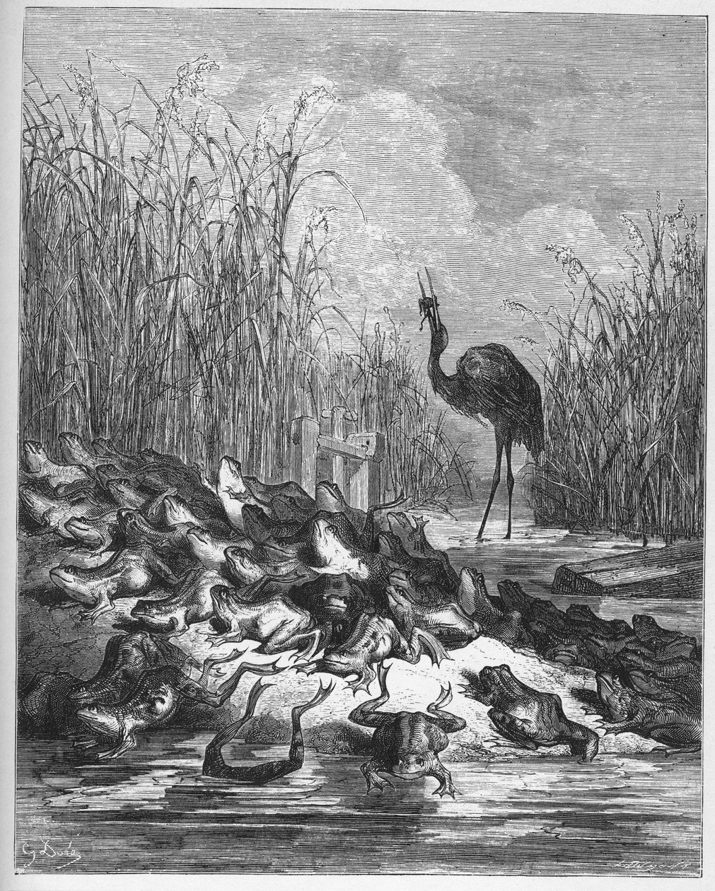 The Frogs Who Desired a King - from 