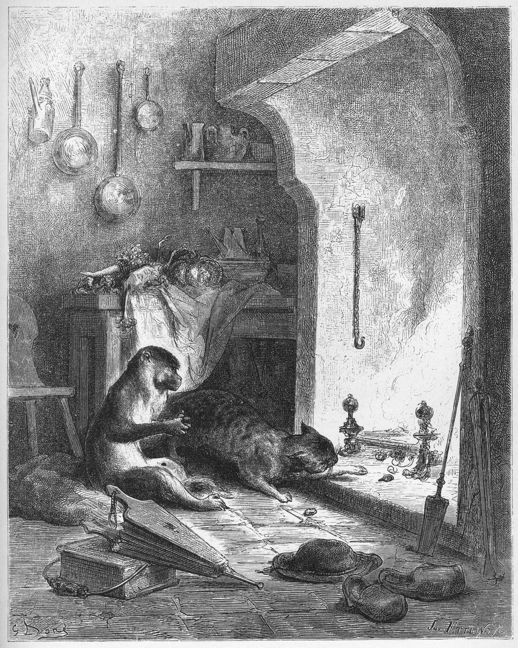 the monkey and the cat - from 