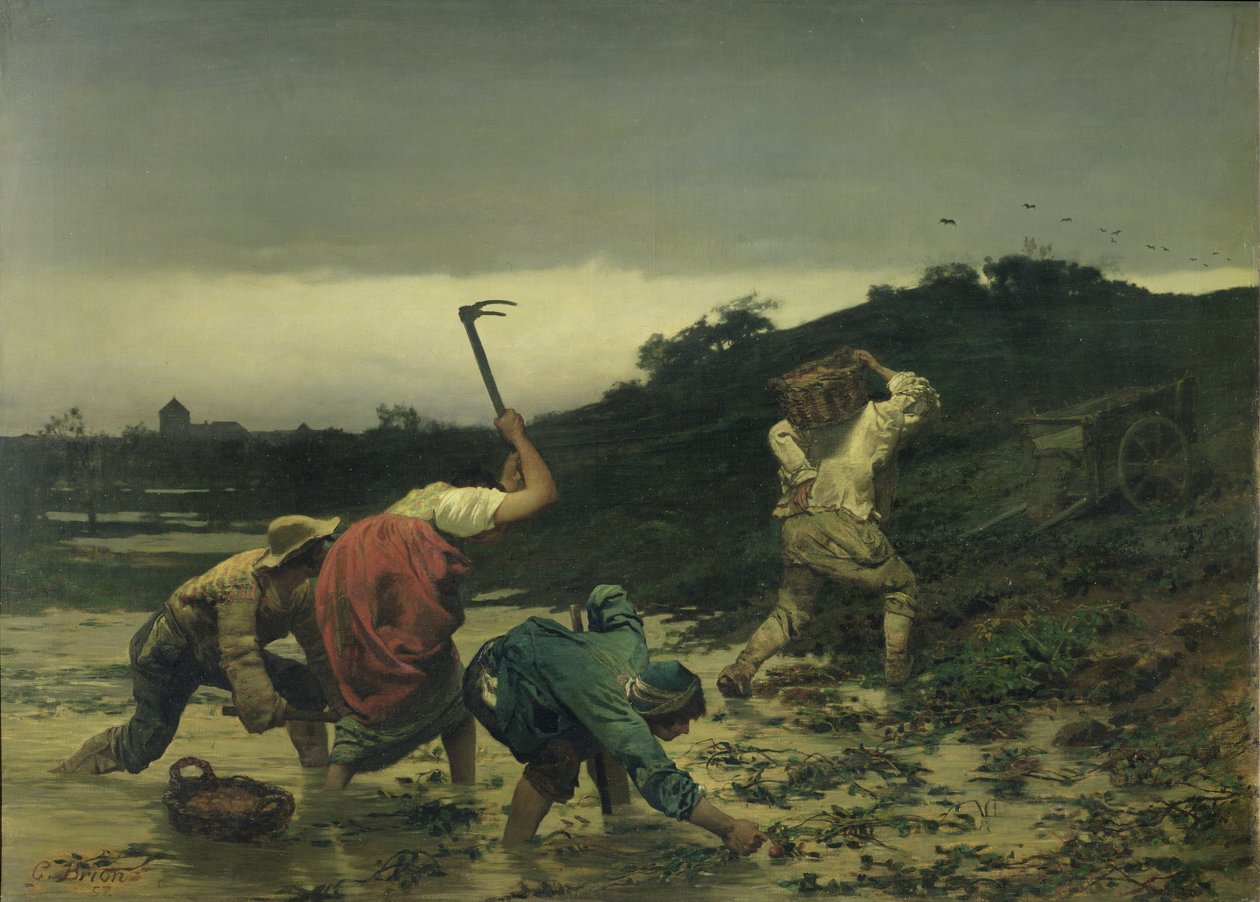 Bønder som høster poteter under Rhinflommen i 1852 av Gustave Brion