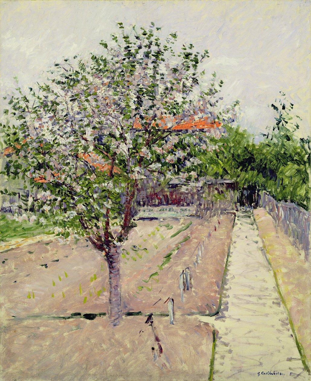 Epletre i blomst, ca. 1885 av Gustave Caillebotte