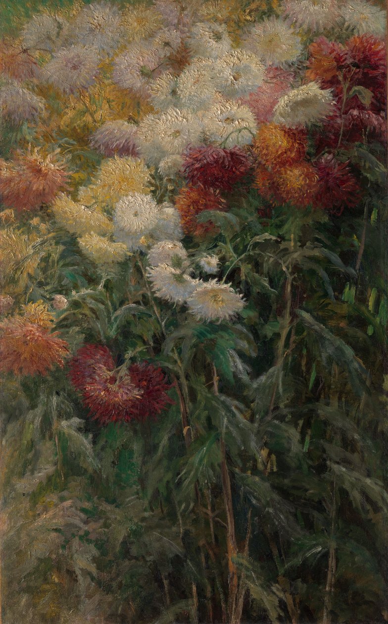 Krysantemum i hagen ved Petit-Gennevilliers av Gustave Caillebotte