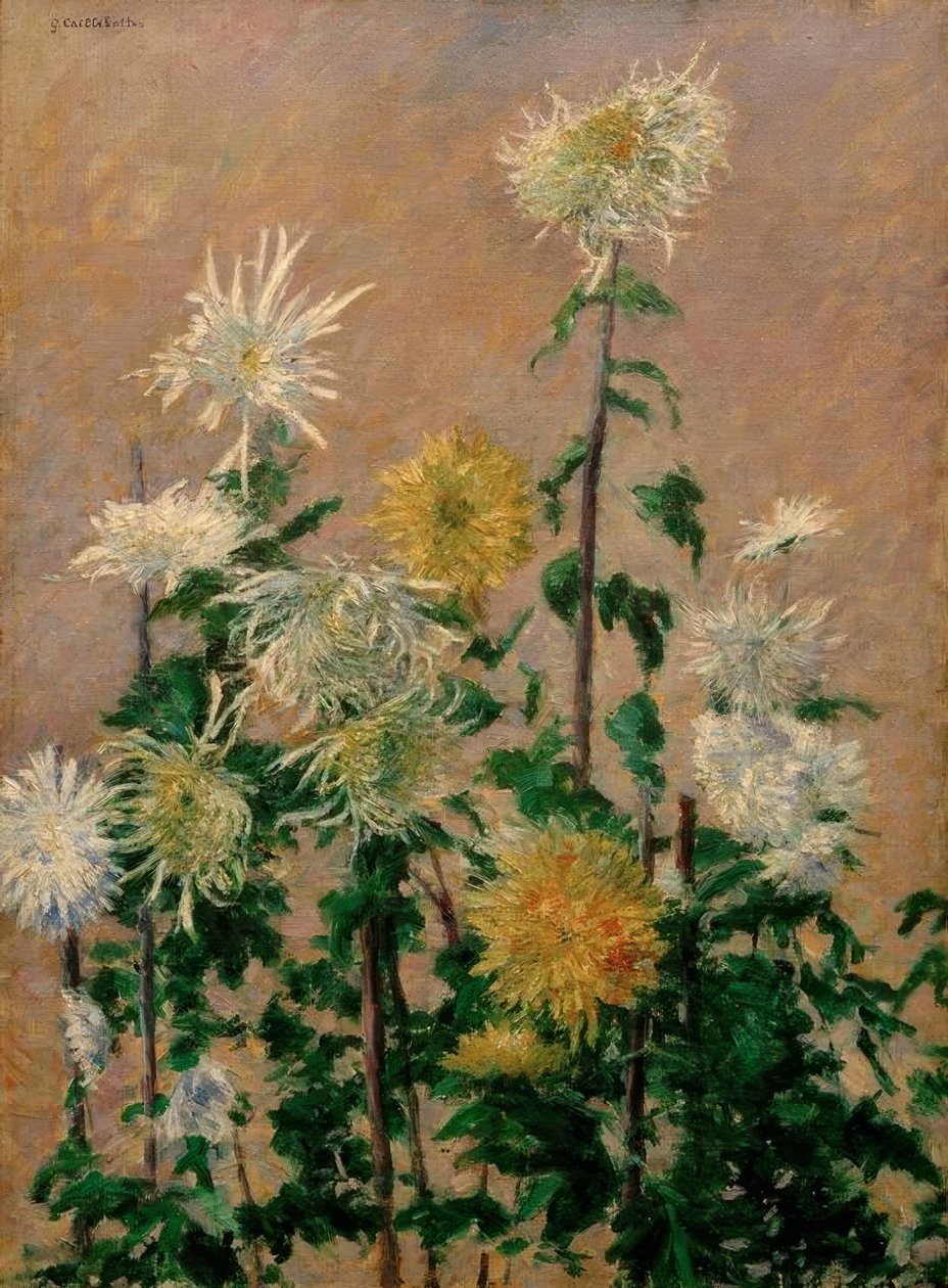 Hvite og gule krysantemum av Gustave Caillebotte