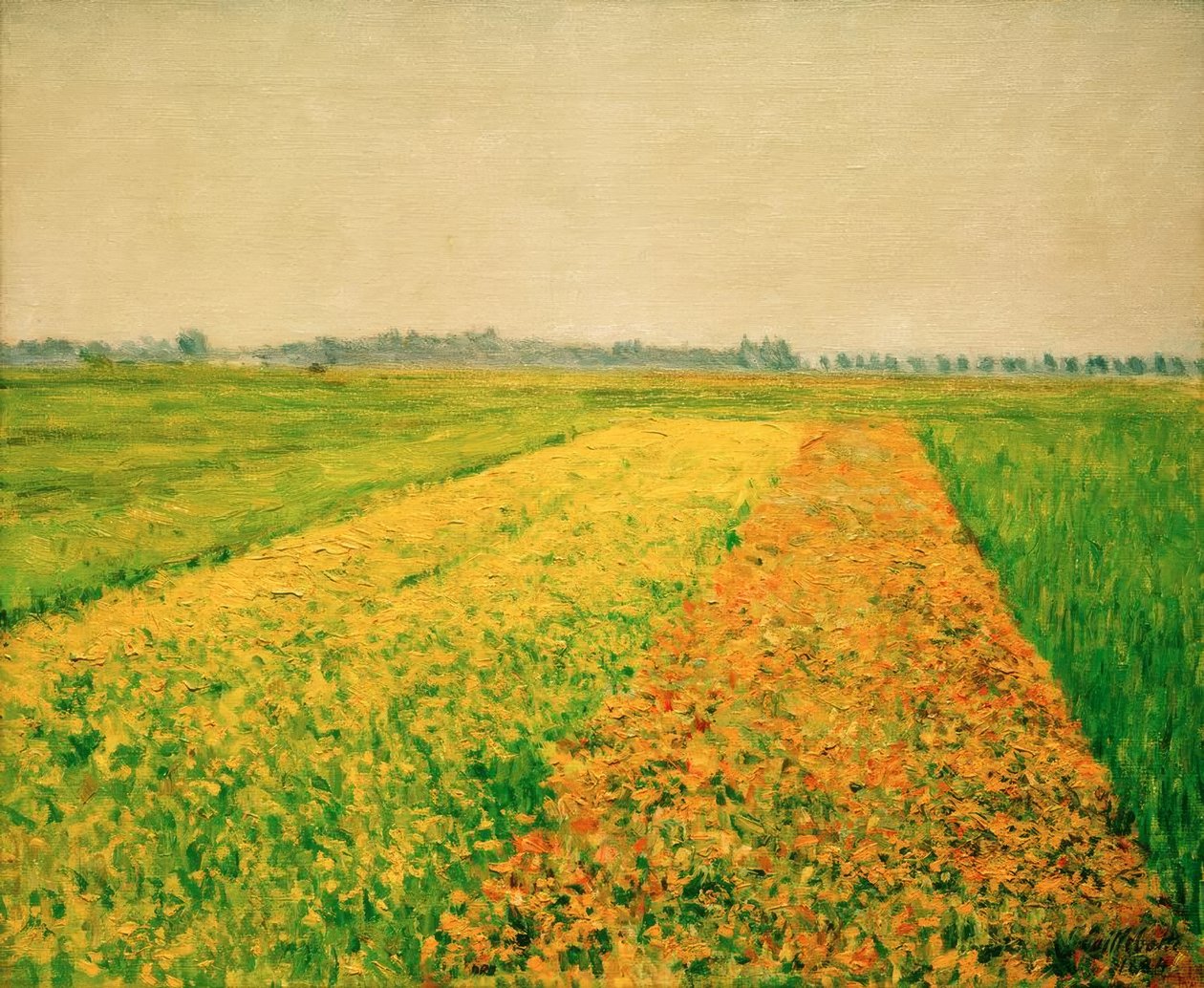 Sletten i Gennevilliers, gule felt av Gustave Caillebotte