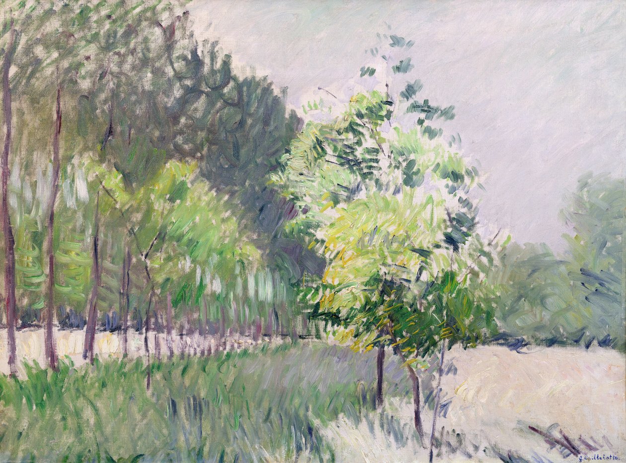 Frukthage og allé av trær av Gustave Caillebotte