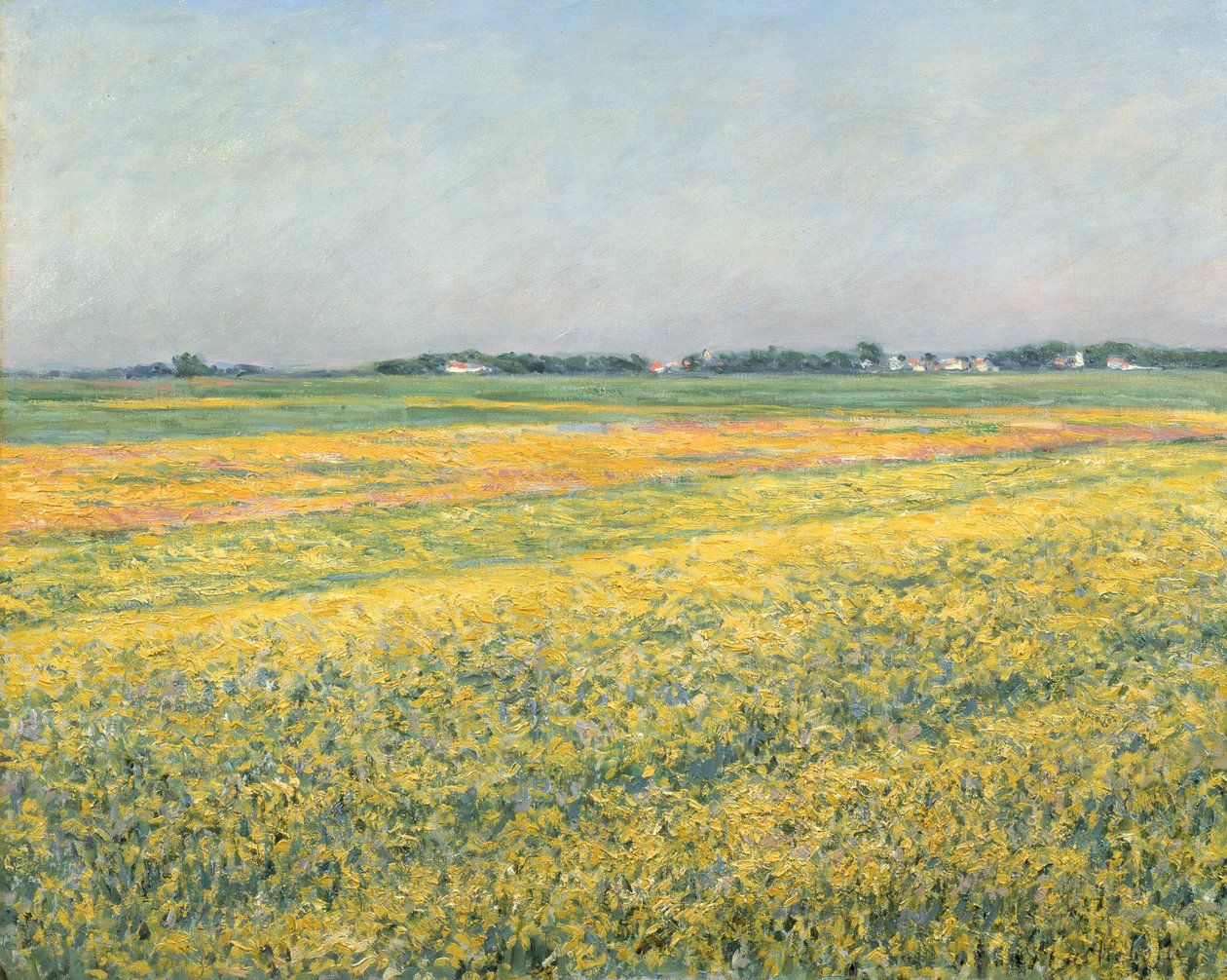 Sletten av Gennevilliers, gule felt; La plaine de Gennevilliers, champs jaunes, 1884 av Gustave Caillebotte